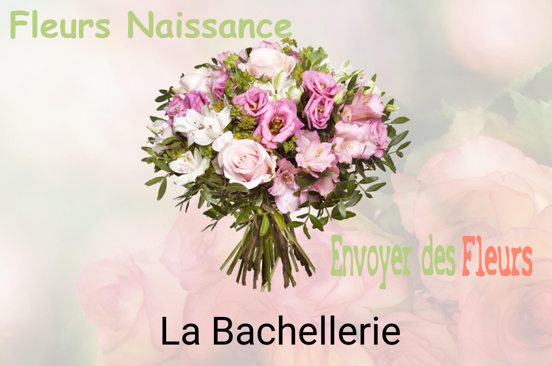Bouquet de fleurs de naissance livré à La Bachellerie